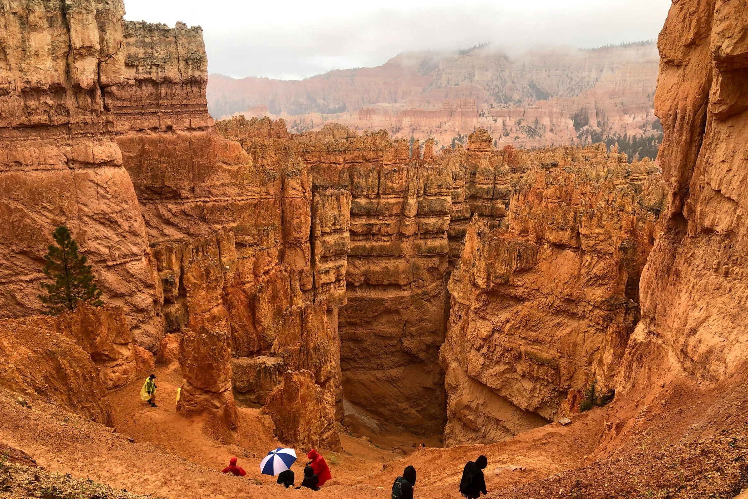 bryce canyon national park sunrise point, utah (4).webp